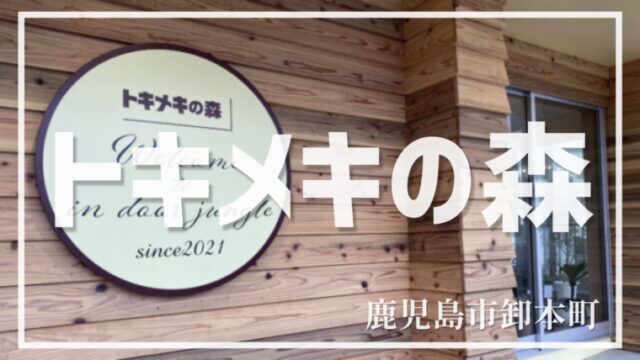 【トキメキの森】観葉植物や家具＆雑貨、カフェまでも！癒しの空間を卸本町で発見【鹿児島市卸本町】